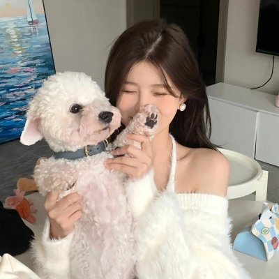 海燕双飞